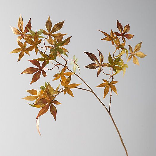Faux Gold Maple Leaf Spray | Terrain