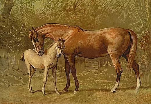 Thoroughbred Mare and Foal by Samuel Sidney Painting Print | Wayfair North America