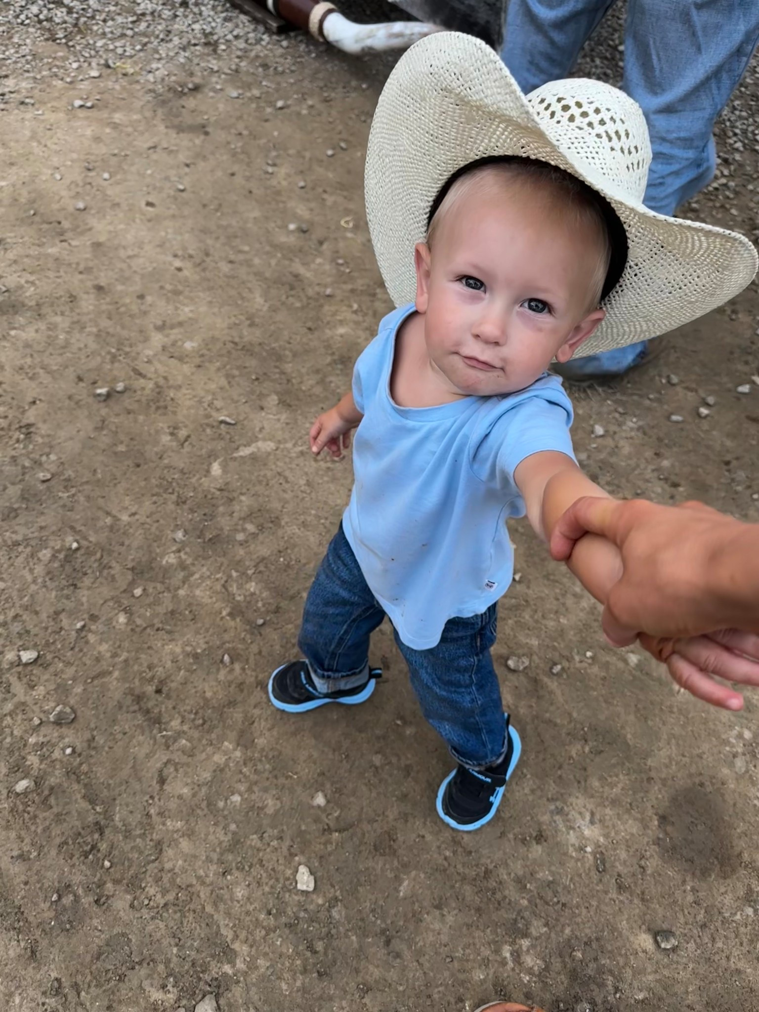 Favorite toddler tees 🫶🏽🫶🏽 come in a big pack 

#LTKBaby #LTKSummerEdit #LTKKids