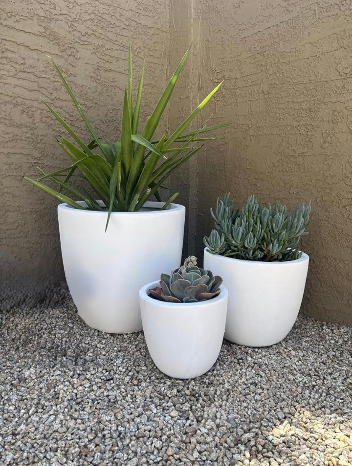 kante concrete planters 🪴 set of 3

18”, 14”, & 10”


.
.
heavy duty outdoor planter set
beautiful patio decor 
organic-modern style planters
indoor/outdoor planters
set of 3 outdoor planters
luxe decor for less
#founditonamazon
#outdoordecor
#patiofurniture
#summerhome
#fallfrontporch

#LTKSeasonal #LTKSaleAlert #LTKHome