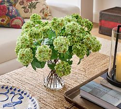 Faux Composed Green Snowball Arrangement | Pottery Barn (US)