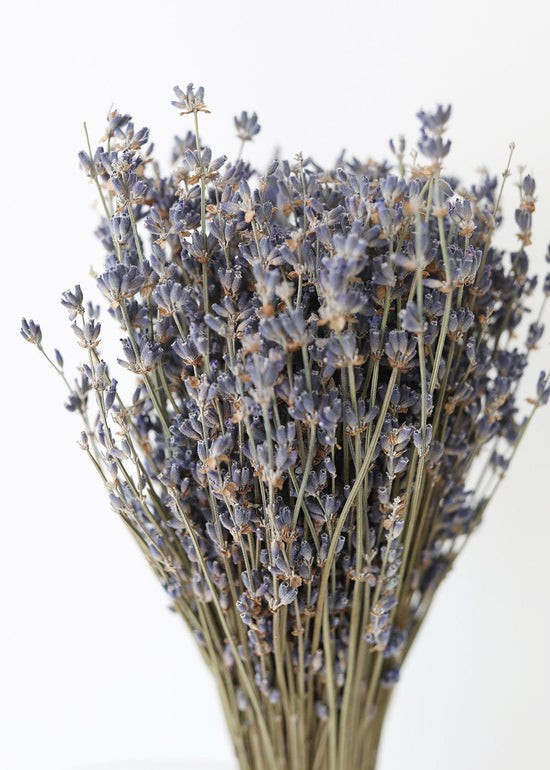 Natural Fragrant Dried Lavender Bundle - 6-14 | Afloral (US)