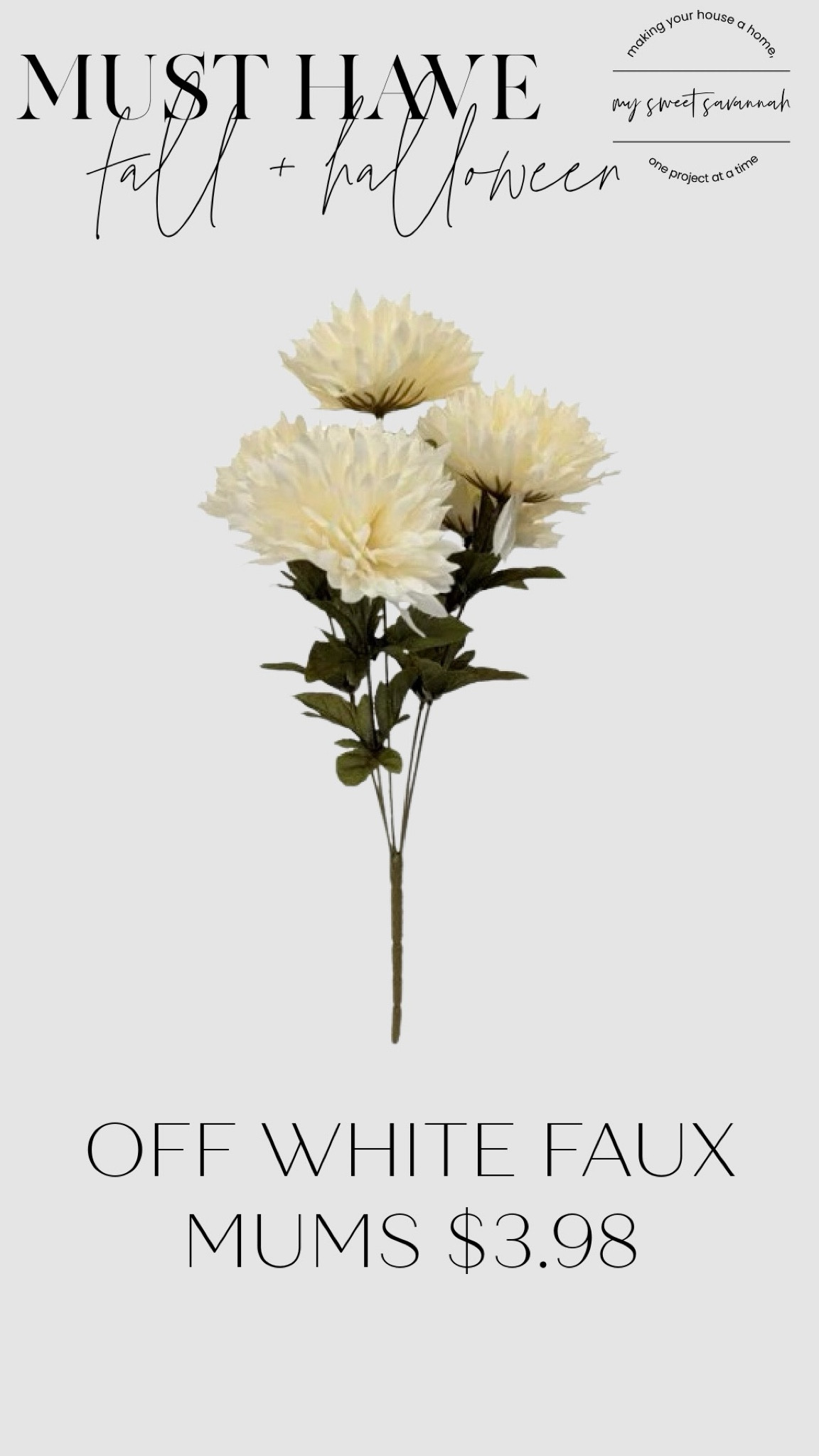 These creamy white faux mums from Walmart are only $3.98! Perfect for gathering in bulk to fill your covered outdoor porch planters or for adding a fresh touch inside your home. Tap to shop these affordable and versatile fall florals! #WalmartFinds #FallDecor #FauxFlorals #LTKHome

#LTKHome #LTKFindsUnder50 #LTKSeasonal