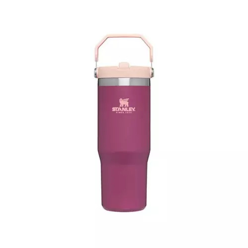 Stanley Iceflow Flip Straw 30 oz Tumbler | Scheels