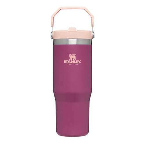 Stanley Iceflow Flip Straw 30 oz Tumbler | Scheels