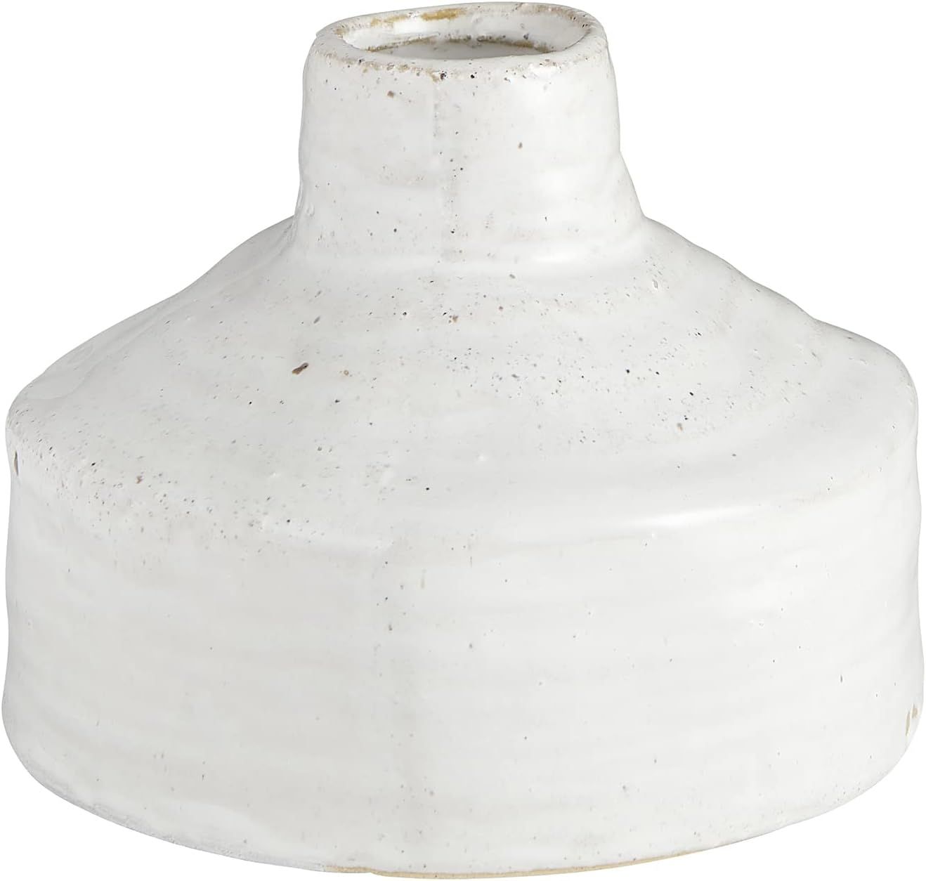 Santa Barbara Design Studio Pure Design Modern Ceramic Pottery Vase for Home Decor, 5.5-Inches Hi... | Amazon (US)