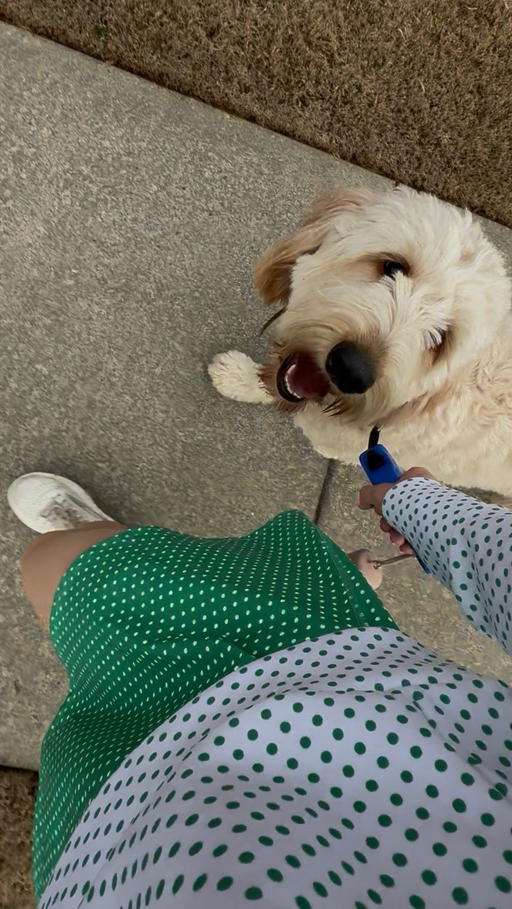 Walking pad in the garage….. GENIUS 

I may or may not get some looks from the neighbors but good thing we are friends lol. 

I love my walking pad and it’s a great bang for your buck

#LTKdayinmylife #LTKActive #LTKSaleAlert