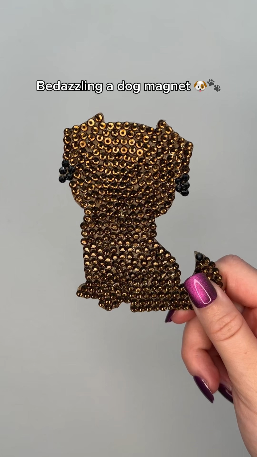 Bedazzling a dog magnet for my freezer!! I based the colors off my puppy girl and thought it turned out so cute 🥰🐶🐾

#LTKxAerie #LTKdayinmylife #LTKFestival
