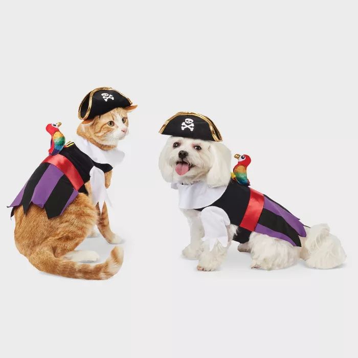 Pirate Dog and Cat Costume - Hyde & EEK! Boutique™ | Target