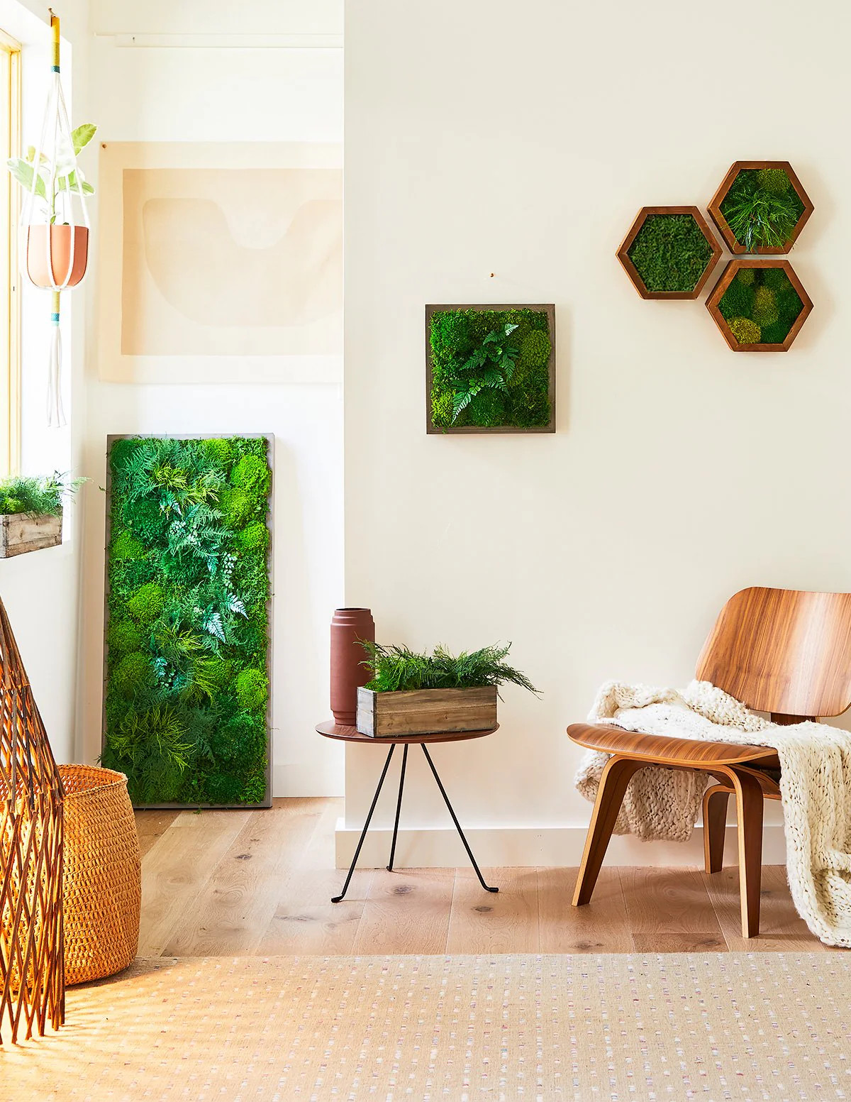 Large Preserved Living Wall | The Sill