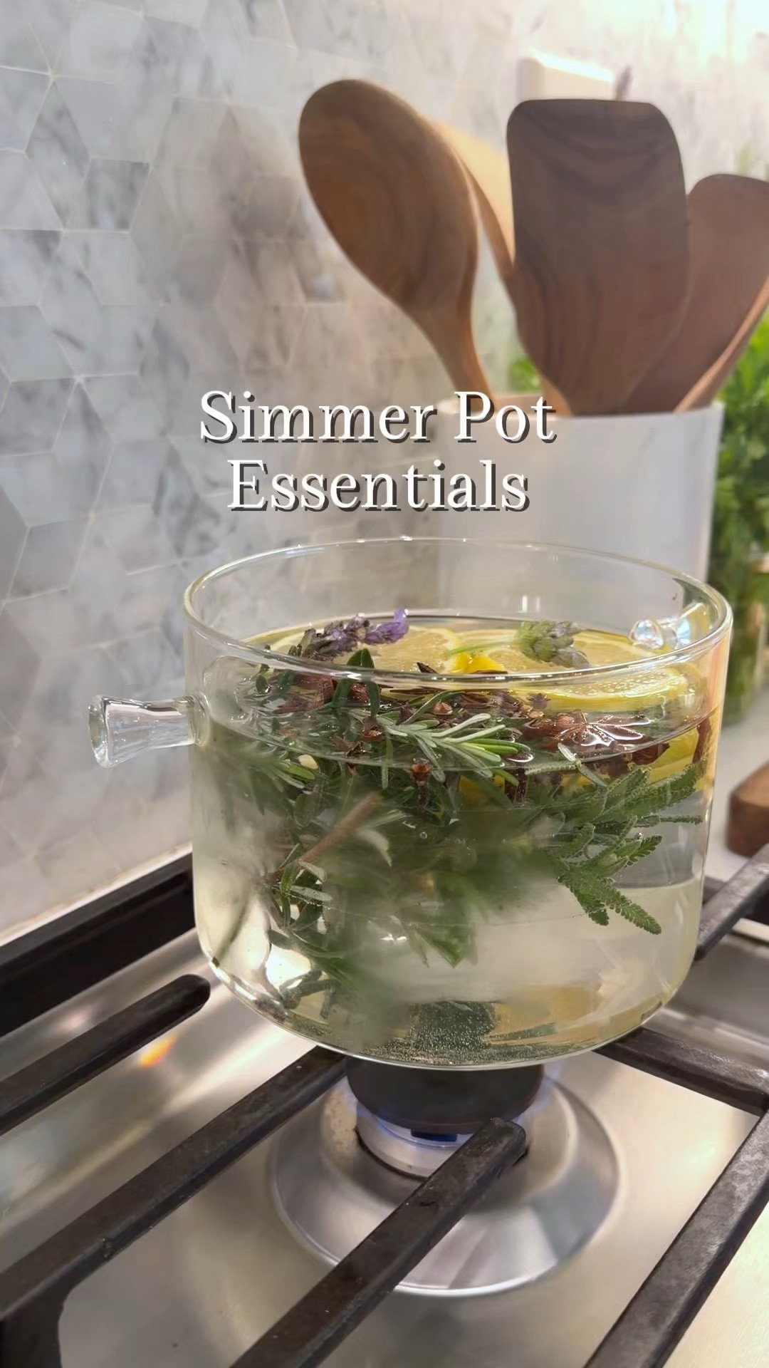 I love using this glass saucepan for creating fresh simmer pots at home! Simmer pots are a great way to fill your home and kitchen with natural scents that are safe and non-toxic. Plus, this glass saucepan makes simmer pots a beautiful thing to see on your stove!

#LTKHome #LTKSeasonal