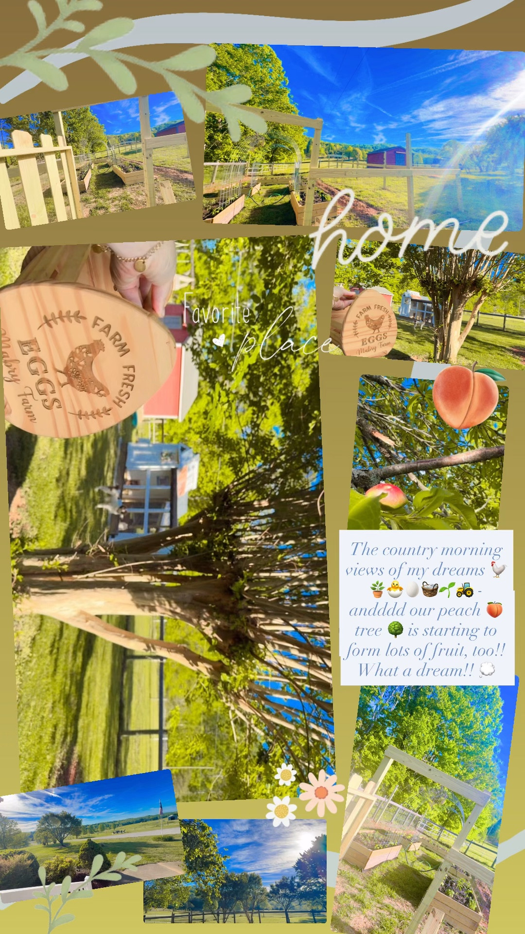 The country morning views of my dreams 🐓🪴🐣🥚🧺🌱🚜 - andddd our peach 🍑 tree 🌳 is starting to form lots of fruit, too!! What a dream!! 💭 