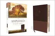 The Amplified Study Bible, Leathersoft, Brown [Large Print]     Imitation Leather – February 21... | Amazon (US)