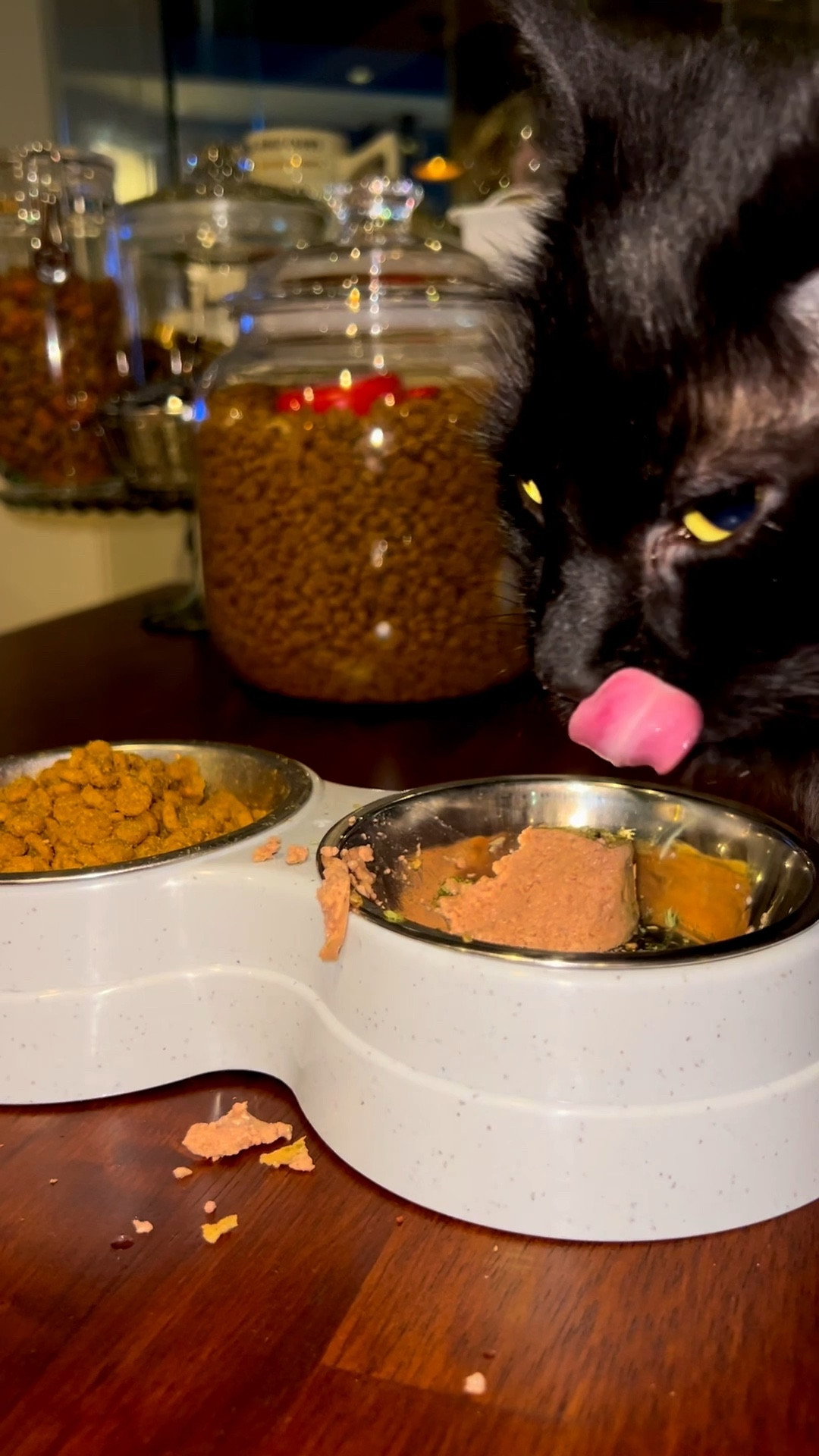 Only the best for my messy litter booty boy 🖤🐈‍⬛🍣



#LTKHome #LTKStyleTip #LTKPets