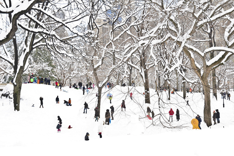 Central Park with Snow and People | Artfully Walls