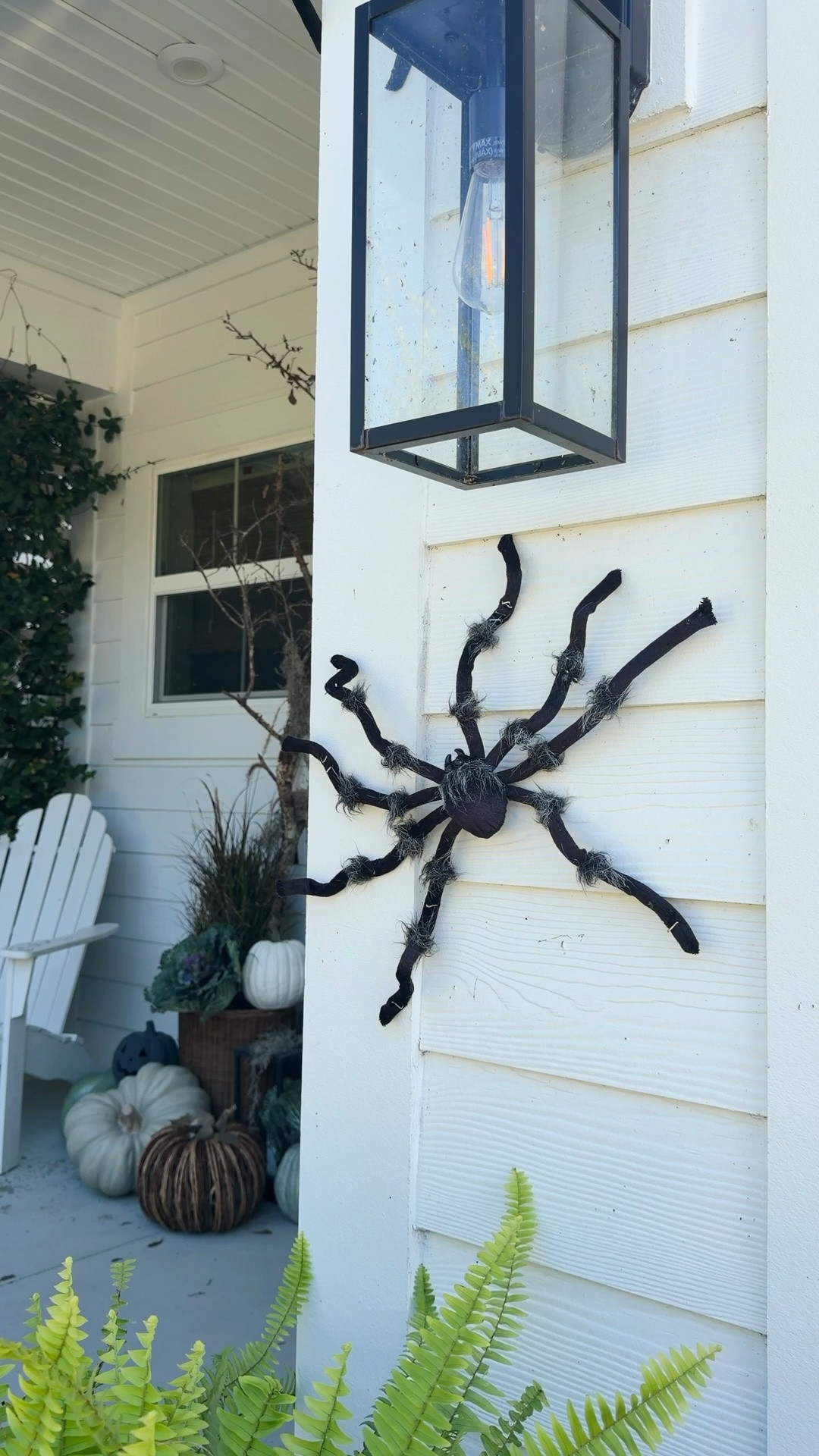 I used a sharpie and colored in the eyes because I thought they were ugly 🕷️

#LTKSeasonal #LTKHome
