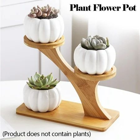 Fashion Home Garden Mini Cactus Pot Indoor Decoration Pumpkin Succulent Pots with Plants Succulent P | Walmart (US)