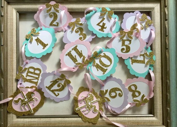 Carousel Horse Photo Banner 1st Birthday Party Decoration Prop Milestone Photo Banner 12 months M... | Etsy (US)