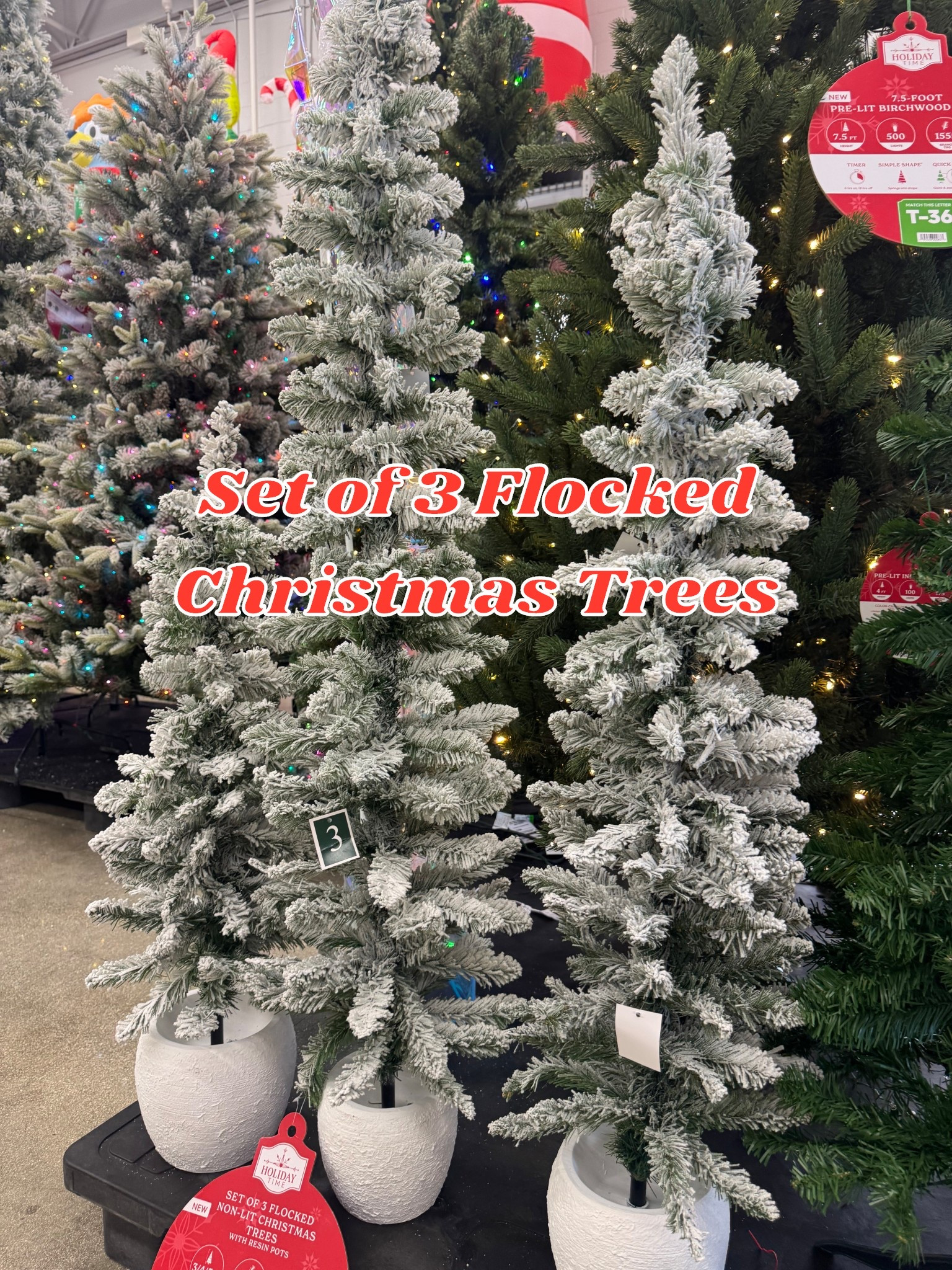 Set of 3 Christmas trees flocked under $60

#LTKSeasonal #LTKFindsUnder100