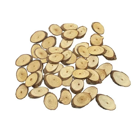 50 Pieces Pendant Wood Slab Unfinished Tags Predrilled with Holes Hanging Ornaments Labels Weddings  | Walmart (US)