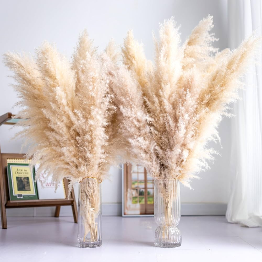 Tall Pampas Grass 20PCS Boho Decor Natural Home Decor Phragmites Dried Flowers Bouquet for Weddin... | Amazon (US)