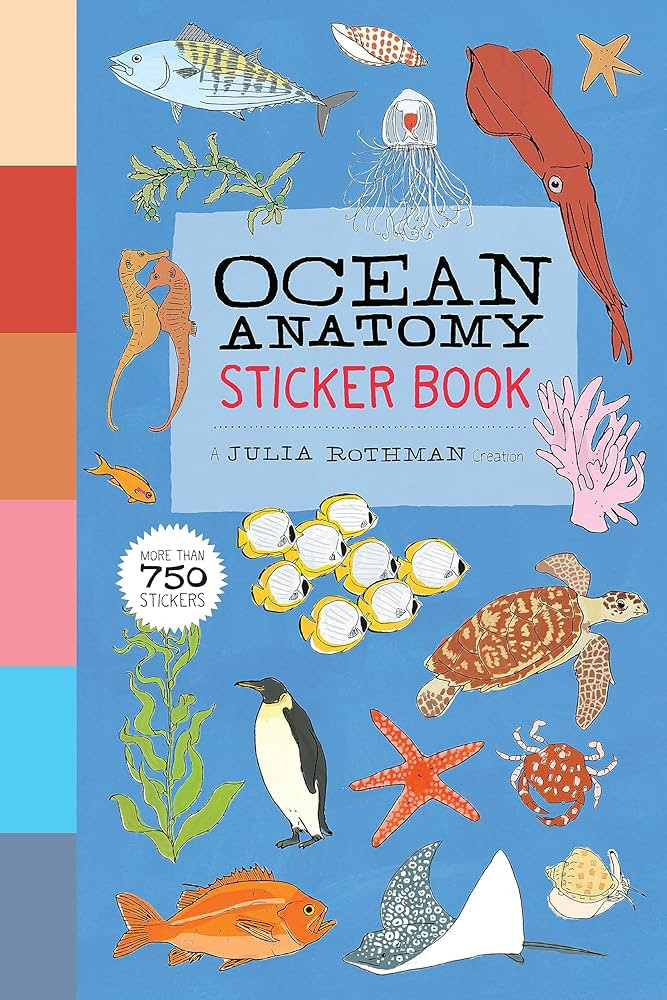 Ocean Anatomy Sticker Book: A Julia Rothman Creation; More than 750 Stickers | Amazon (US)