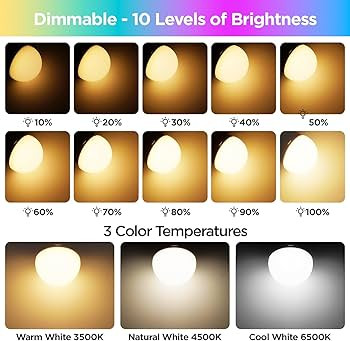 Yochoice Rechargeable Battery Operated Light Bulb with Remote Control,350LM Dimmable Detachable L... | Amazon (US)