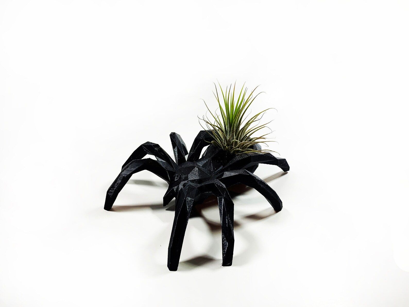 Black Spider Air Plant Display Desk Halloween Planter Drop | Etsy | Etsy (US)