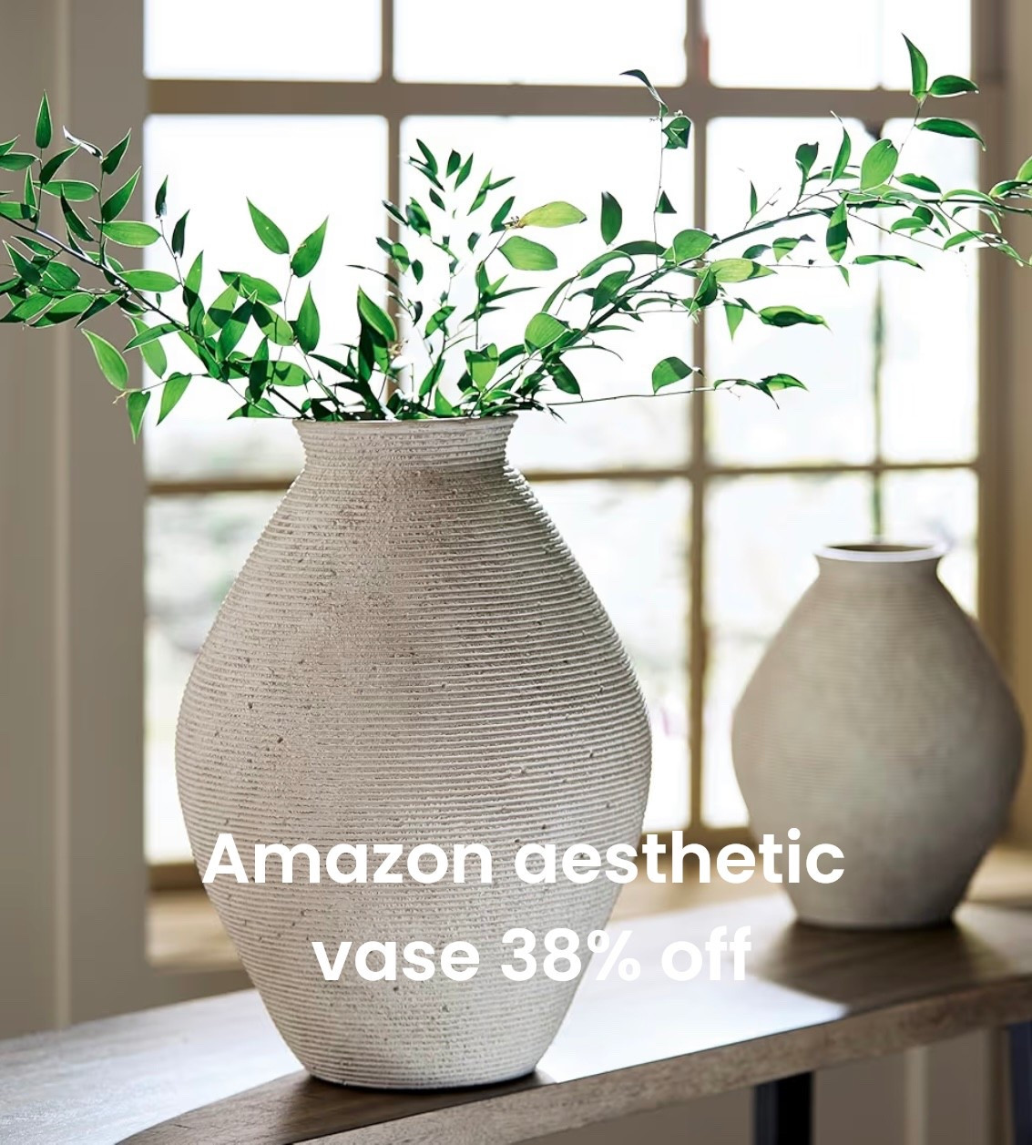 Amazon home decor, neutral home aesthetic, vases, tall vase 


#LTKvlog #LTKHome #LTKSaleAlert