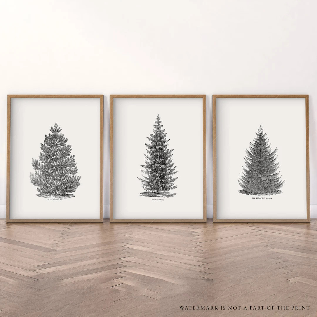 Set of 3 Forest Print Norway Spruce Tree Christmas Wall - Etsy | Etsy (US)