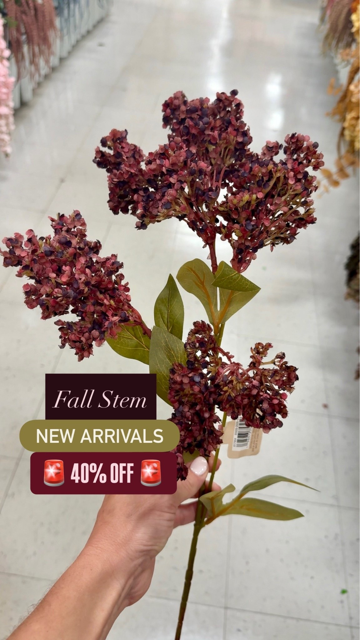 The new fall stems at Michael’s are so good this year! 🍂

Even better—they’re 40% off, making it easy to create a high-end fall look for less.

✨ Shop these Michael’s fall stems, faux fall florals, autumn home decor, berry stems, and my favorite fall decorating finds in my LTK before they’re gone!

#LTKHome #LTKSaleAlert #FallDecor #FallHomeDecor #MichaelsFinds #FallFlorals #FauxStems #BerryStems #AutumnDecor #CozyHome #NeutralFallDecor #HomeStyling #LookForLess #SeasonalDecor #FallCenterpiece

#LTKHome #LTKSaleAlert #LTKSeasonal