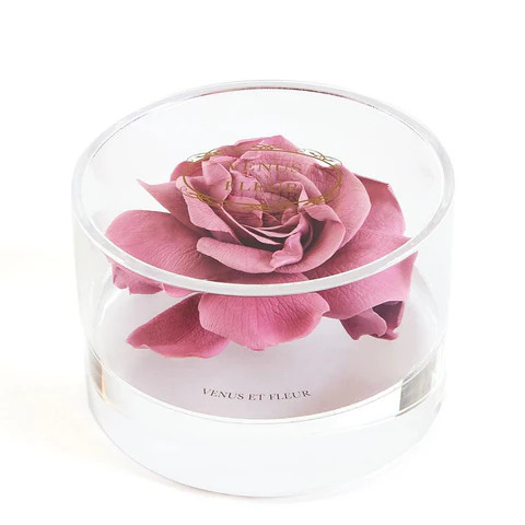 Le Clair Grand Un | Venus ET Fleur