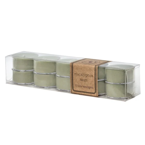 Eucalyptus Sage Scented Tealight Candle with Plastic Holder | Wayfair North America