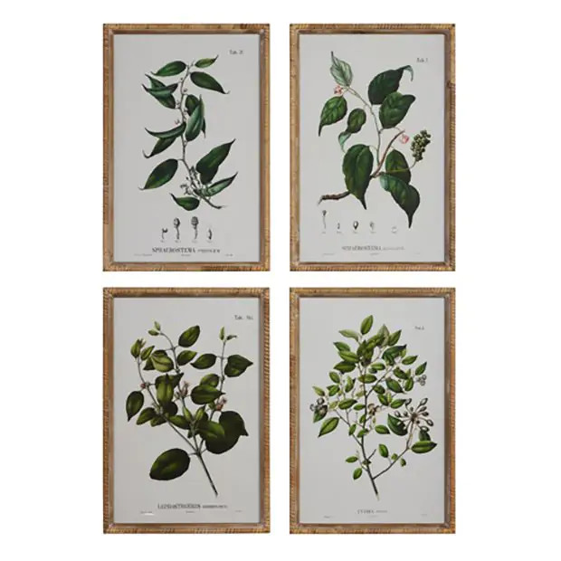 4 Piece Seeded Branch Framed Botanical Wall Art Collection | Antique Farm House