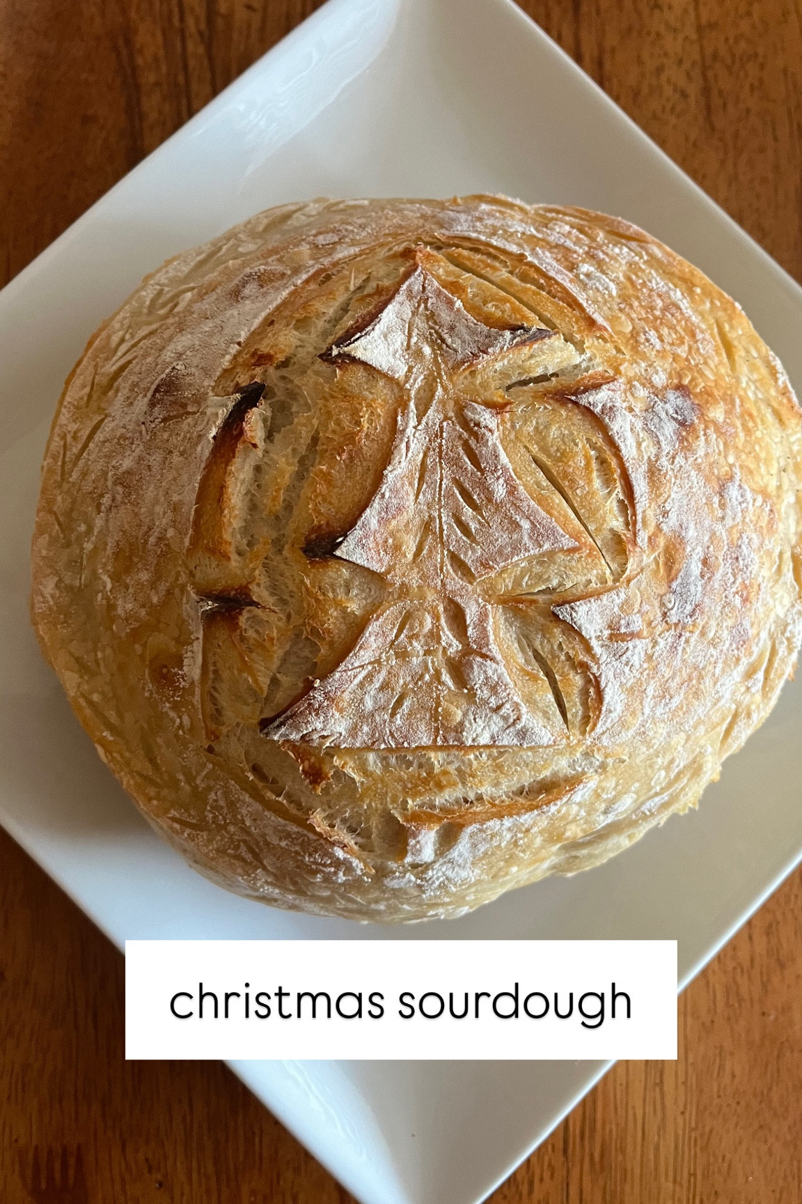 my christmas tree sourdough from last week!



#LTKSeasonal #LTKHome #LTKHoliday