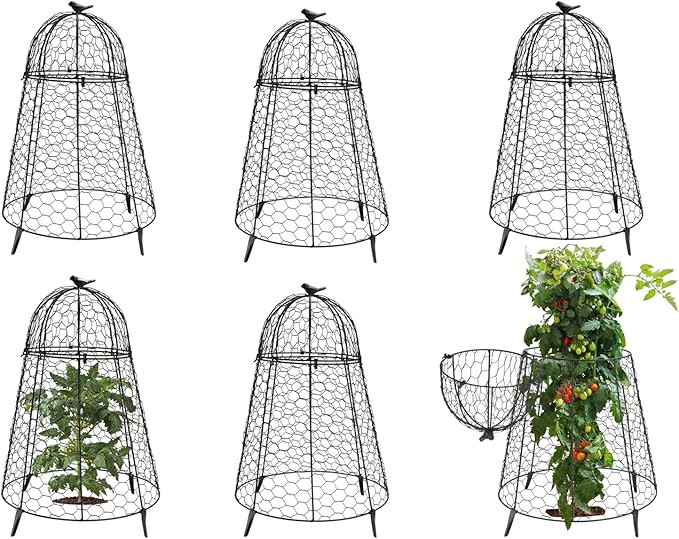 Plant Protector Chicken Wire Cloche 6 PCS, Plant Protectors from Animals, 18.7×12 Inch Large Gar... | Amazon (US)