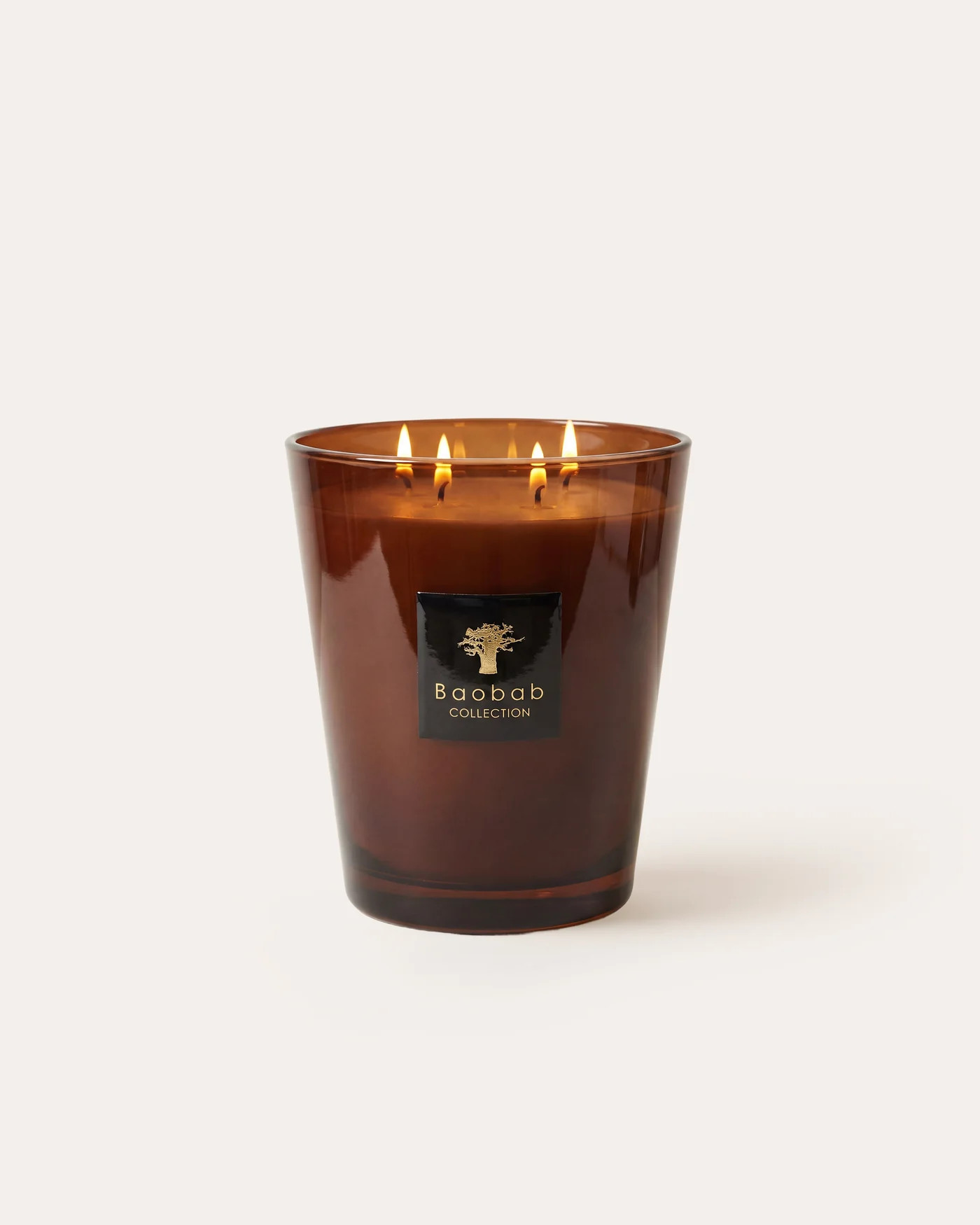 SCENTED CANDLE LES PRESTIGIEUSES CUIR DE RUSSIE | Baobab Collection USA