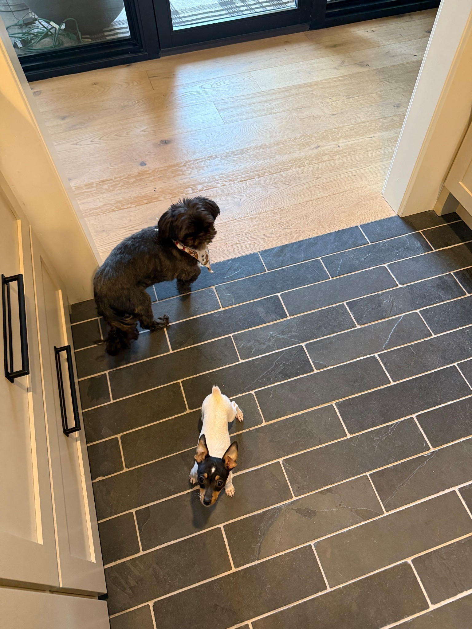 Chompers and Tacho. Linking hardware and lighting in the mud room. 

#LTKHome