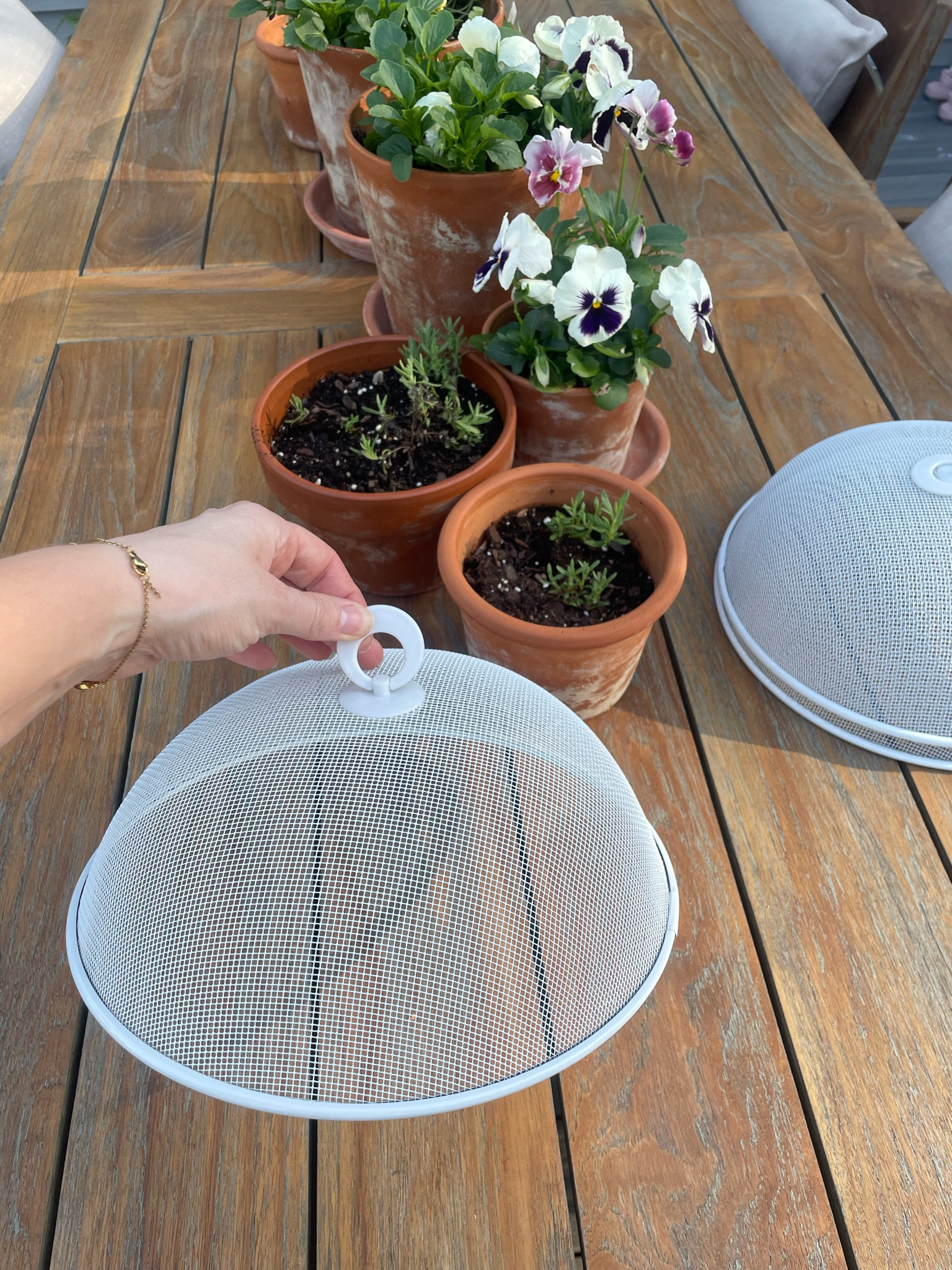 A must for keeping bugs off of food

#summer #hosting #outdoor

#LTKSeasonal #LTKHome #LTKmomlife