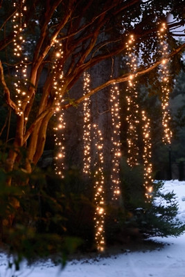 Stargazer Twinkling Tree Cascade Lights | Terrain