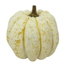 12" Cream & Yellow Speckled Pumpkin Decoration by Ashland® | Michaels Stores