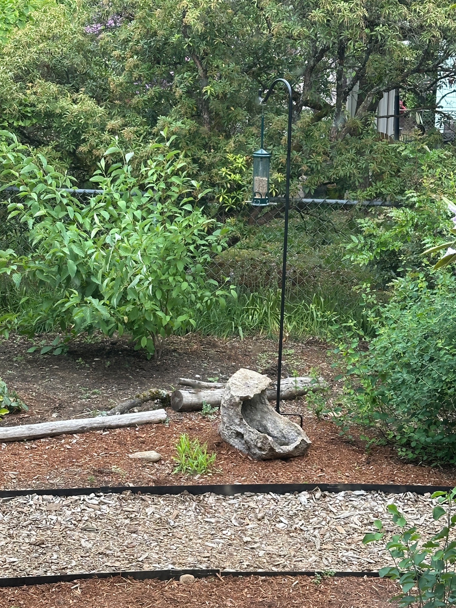 bird feeder and stand!