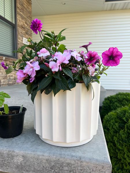 This planter is only $21! 👏🏻 this is the 12.13” size! 


Wedding Guest Dress
Country Concert Outfit
Summer Outfit
Sandals
Graduation Dress
Maternity
Swimsuit
Travel Outfit
Jeans
White Dress
Garden 
Outdoor decor 

#LTKSeasonal #LTKhome #LTKover40