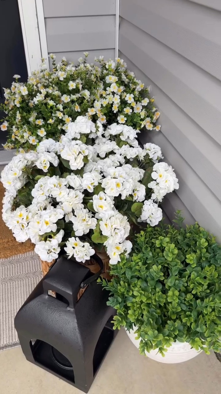🔗 comment LINKS for the look!

These are an Amazon find and I LOVE THEM:
I’m a big, big fan of fake potted flowers since I can’t keep real ones alive 🥴 these are realistic, super full, UV resistant, and
the best part.. zero-maintenance. Must I say more?! 😍

These white geraniums I used two packs for a super full look (a smaller planter you definitely only need one pack).

#springfrontdoor #springfrontporch #springporch #springdecor #fauxflowers