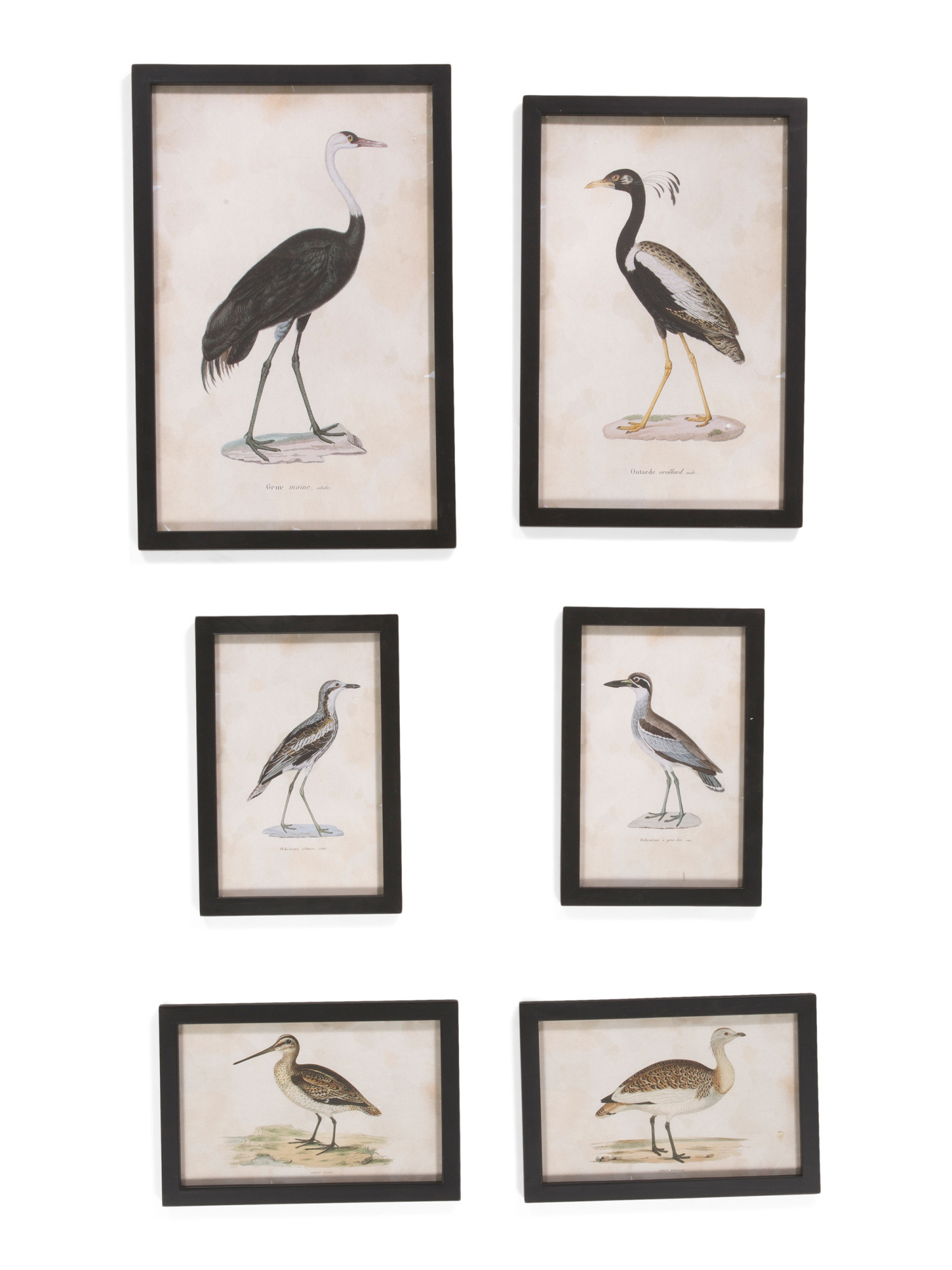 Set Of 6 Waterfowl Gallery Wall Art | Home | Marshalls | Marshalls