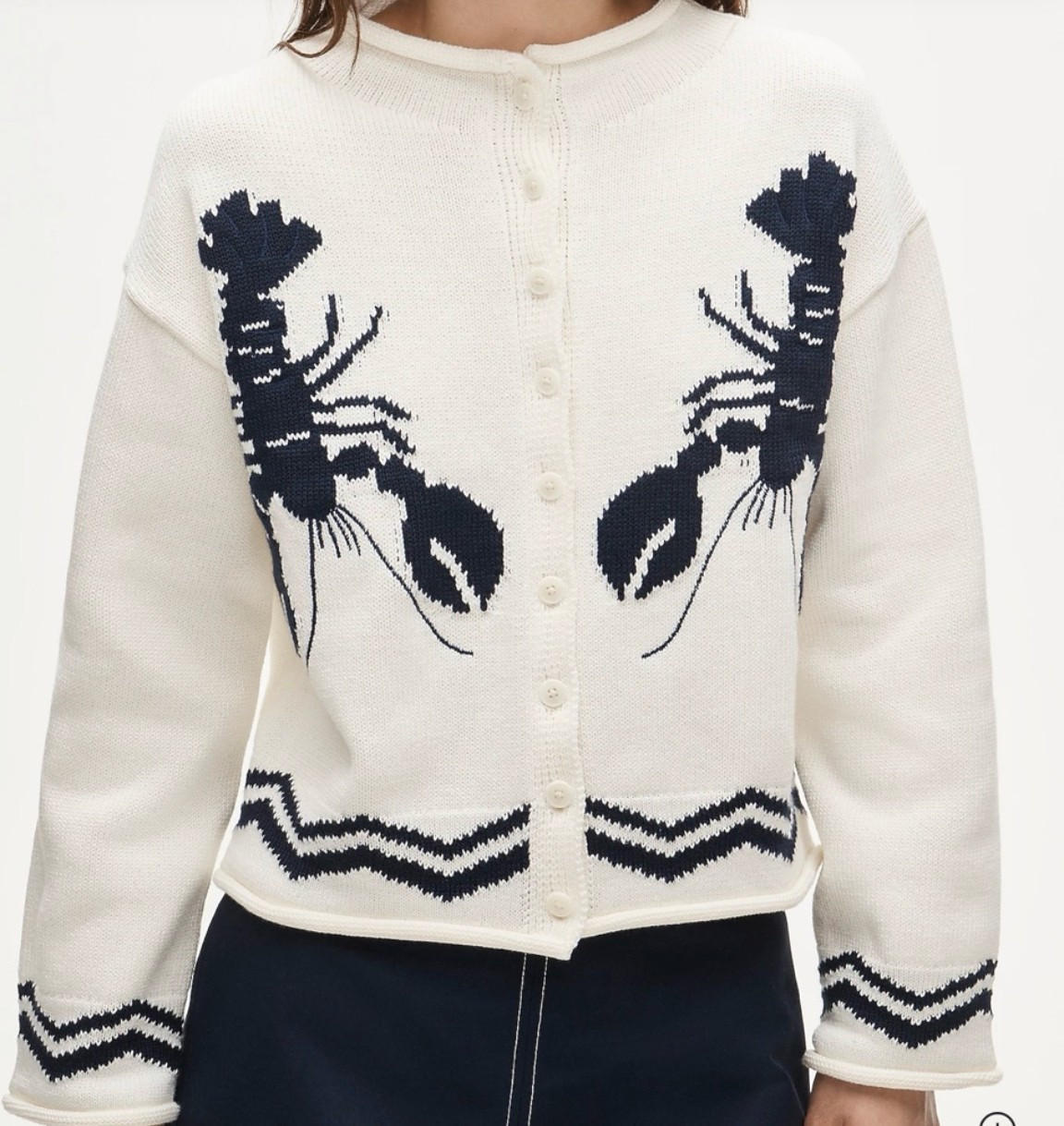 Lobster cardigan jcrew

#LTKootd #LTKSeasonal #LTKTravel