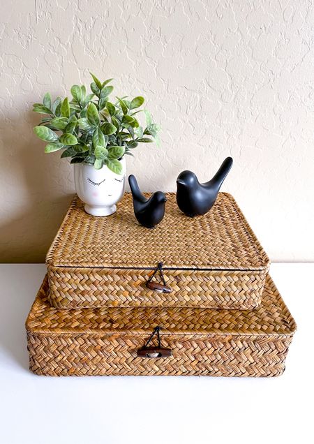 Love these decorative boxes from Amazon. They are big enough to store stuff in them. $25 for the set. 




Amazon decor, storage box, decorative box, gifts, gifts for moms, Mother’s Day gifts, amazon gifts, home gifts 

#LTKGiftGuide #LTKSeasonal #LTKhome