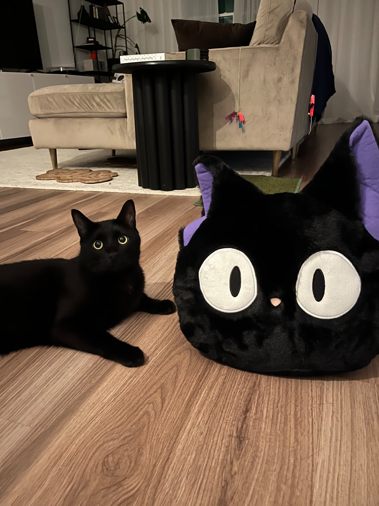 Jiji pillow!

#LTKHome #LTKPets