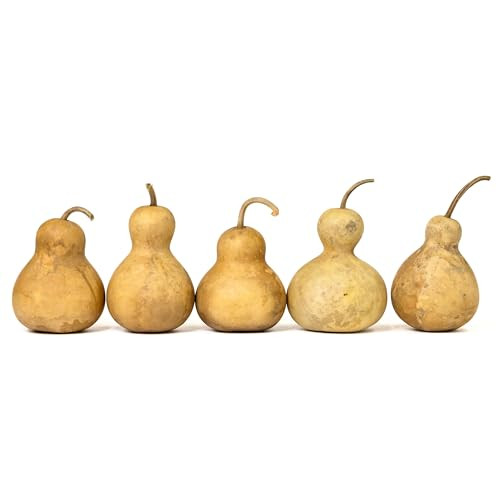 Box of 5 Dried Bottle Gourds - 4" Diameter, Ready for Crafting and Decorating | Amazon (US)