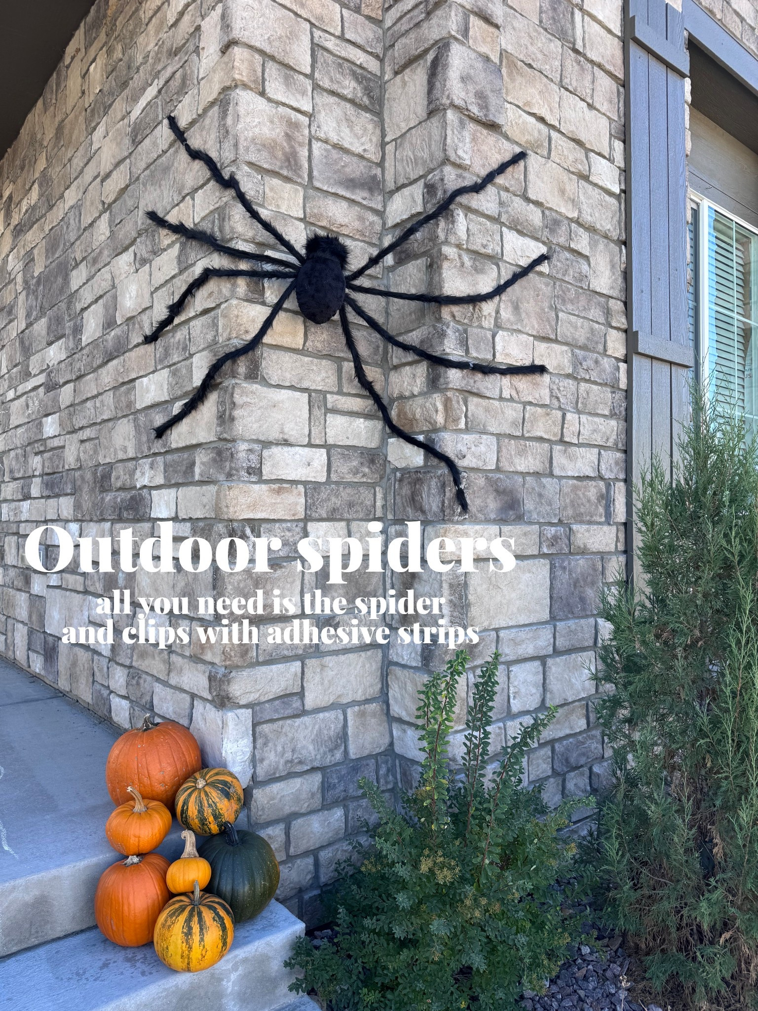 These outdoor spiders are so easy to put up! #target #outdoor #outdoorhalloweendecorations #halloweendecor #halloweendecorations #halloween #outdoordecorations

#LTKHalloween #LTKHoliday #LTKHome